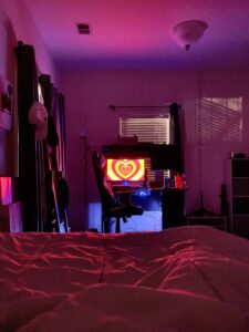 Teen bedroom purple